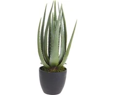 Dekoracja Domu Dirbtinis augalas su vazonu alavijas 42 cm