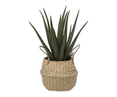 Atmosphera Aloe Dirbtinis alavijo augalas krepšelyje, 37 cm