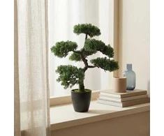 Dirbtinis bonsai medelis vazone, 32 x 32 x 50 cm