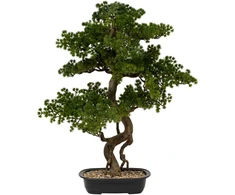 Artificial Bonsai medžio POLIN, juodas ceramic pot, 72 x 36 x 86 cm