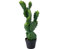 Dirbtinis kaktusas vazone PIKKA, 68 cm