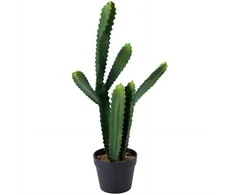 Dirbtinis kaktusas vazone PIKKA, 68 cm