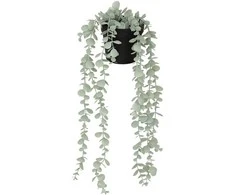 Atmosphera Dirbtinis eukaliptas MERLY, 51 cm