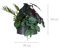 Vilde Dirbtinis augalas su vazonu 28 cm