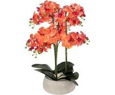 Atmosphera Dirbtinė gėlė vazone, orchidėja SANAE, 65 cm