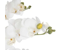 Dirbtinė orchidėja, 65 cm, cemento-marmuro vazonas