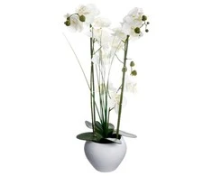 Dekoratyvinis augalas Orchidėja su baltu vazonu 38x38x53 cm Atmosphera 136510B