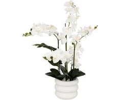 Atmosphera Dirbtinė orchidėja MICK keraminiame vazone, 80 cm