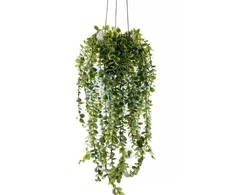 Dirbtinis kabantis augalas SENECIO, 60 cm