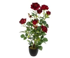 Atmosphera Dirbtinis augalas BUSH rožių vazone, 74 cm, raudonas