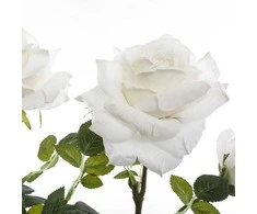 Atmosphera Dirbtinis augalas vazone BUSH Roses, 74 cm, baltas