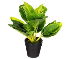 Atmosphera Dirbtinis vazoninis augalas KALATEA, 30 cm
