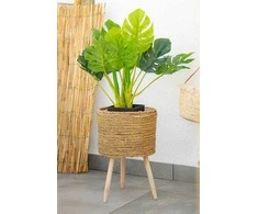 Atmosphera Atmosfera Dirbtinis augalas MONSTERA, 70 cm