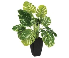 Atmosphera Atmosfera Dirbtinis augalas MONSTERA, 70 cm
