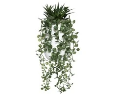 Art-Pol Dirbtinis augalas PEPEROMIA, kabantis