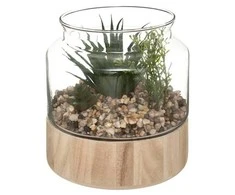 Atmosphera Dirbtiniai augalai, aukštis 17,5 cm, stikliniame terariume remiantis