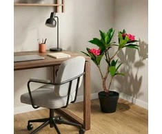 Kaemingk Dirbtinis vazoninis frangipani medis, 50 x 90 cm