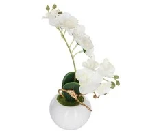 Dekoratyvinis augalas Orchidėja su vazonu 20x20x26 cm (mix) Atmosphera 155716