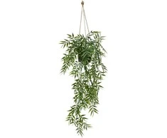 Kabantis bambukas vazone LIORA, 67 cm