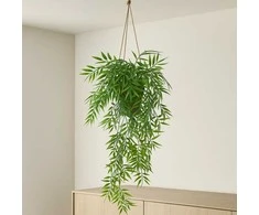 Kabantis bambukas vazone LIORA, 67 cm