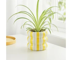 Keraminis vazonėlio dangtelis su dryžiais LINJE, 14 cm