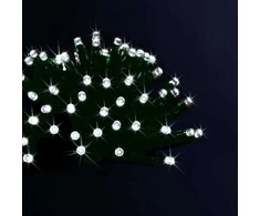 Fééric Lights and Christmas Dekoratyvinės 100 LED kalėdinių lempučių, baltos