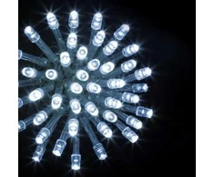 Fééric Lights and Christmas Dekoratyvinės 100 LED kalėdinių lempučių, baltos