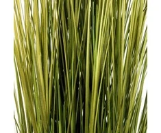 Atmosphera Dekoratyvinė žolė su džiuto įrišimu, 100 cm