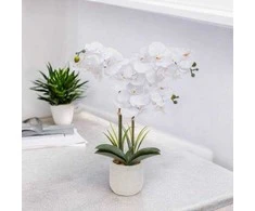 Atmosphera Dirbtinė orchidėja vazone RIVA, 60 cm