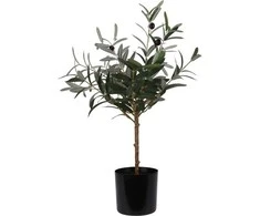 ProGarden Dirbtinis alyvmedžio augalas, 66 cm