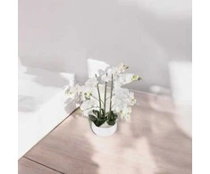 Atmosphera Dirbtinis augalas ORCHIDEE, baltas gėlių vazonas, 65 cm