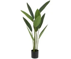 Atmosphera Dirbtinis augalas Strelitzia, 97 cm