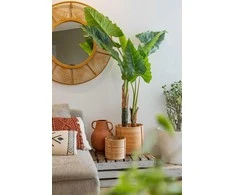 Atmosphera Dirbtinis augalas vazone BANANOWIEC, 132 cm