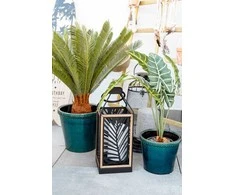 Atmosphera Dirbtinis augalas vazone PALMA CYKAS, stulpas, 72 cm