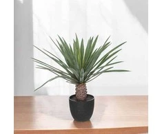 Atmosphera Dirbtinis delnas kaip gyvenantis juodoje sodinėje, aukštis 52 cm