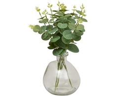 Eukalipto kompozicija URICE, aukštis 35 cm, stiklinė vaza