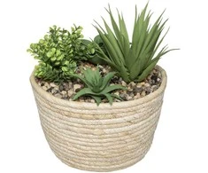 Atmosphera HACIENDA plant composition, 17 x 19 cm, natural pot