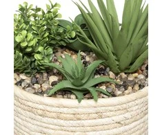 Atmosphera HACIENDA plant composition, 17 x 19 cm, natural pot