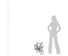 Atmosphera Metalinis gėlių stovas BIKE, 59 cm