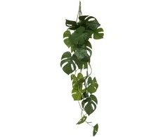 Atmosphera Monster Dirbtinis augalas MONSTRAS, kabantis, 85 cm