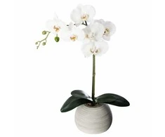 Atmosphera ORCHIDEE REAL TOUCH CIM H.53