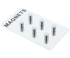 PIECES Magnetai užrašams, nerūdijančio plieno, 6 vnt., ZELLER