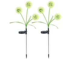 Maximex Solar garden lights, LED dandelions, 2 pieces, 75 cm