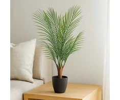 Dirbtinė palmė NOVA, Ø 50 x 85 cm