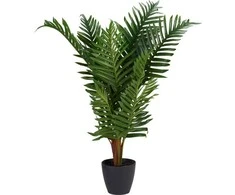 Dirbtinė palmė NOVA, Ø 50 x 85 cm