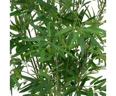 Bamboo Dirbtinis bambuko augalas 100 cm