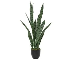 Atmosphera TOBY dirbtinis vazoninis sanseviera augalas, 90 cm