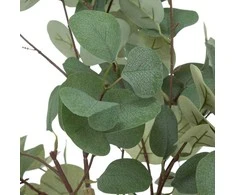 Atmosphera Dirbtinis eukalipto augalas, 127 cm