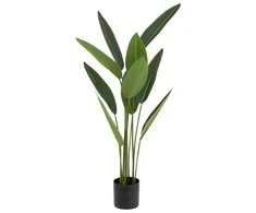 Atmosphera Dirbtinis augalas Strelitzia, 97 cm