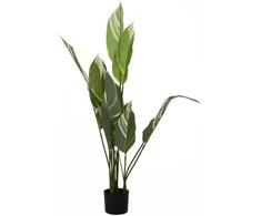 Home Styling Collection Dirbtinis augalas dideliais lapais, 118 cm